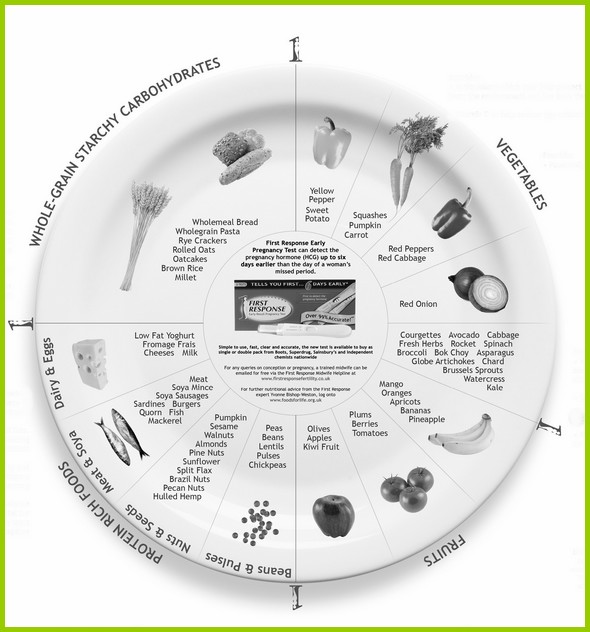 Fertility Food Wheel New Forest Nutritionist